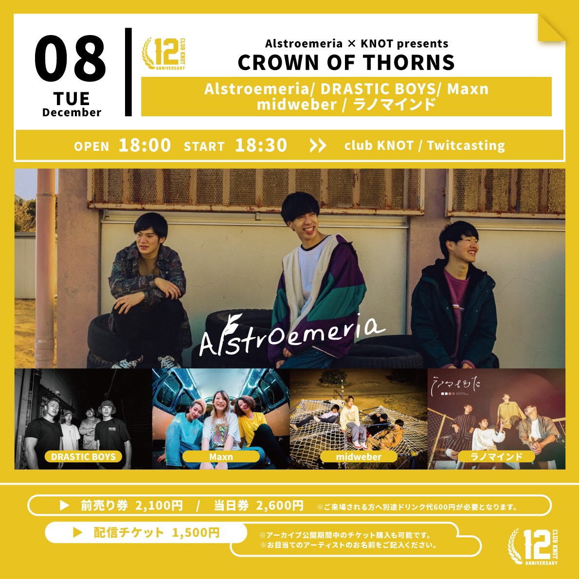 KNOT12周年記念!! Alstroemeria × KNOT presents